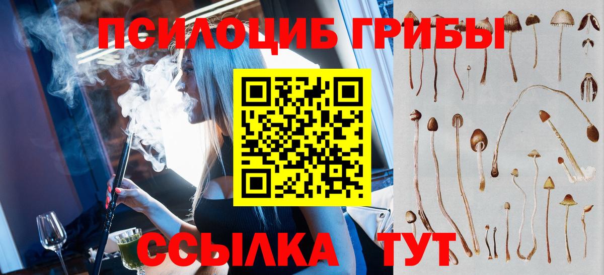 Псилоцибиновые грибы Psilocybe  Вход с VPN  купить  цена  Джанкой 