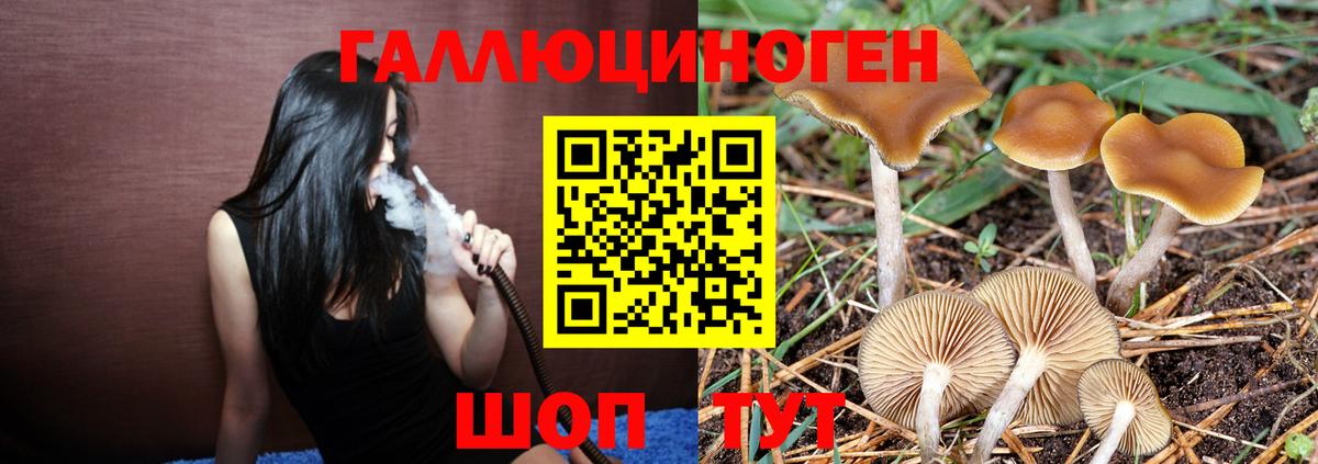 Галлюциногенные грибы мицелий Джанкой